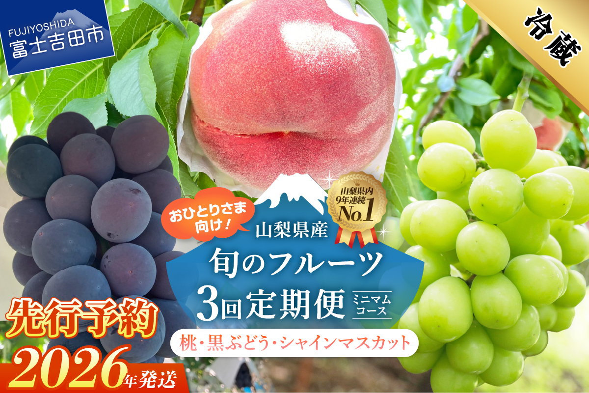 【2026年発送 先行予約】【3回定期便】厳選 旬のフルーツ定期便（桃3玉・黒ぶどう1房・シャインマスカット1房）