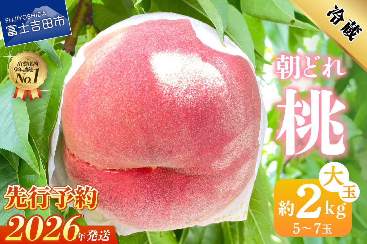 【2026年発送 先行予約】山梨の朝どれ桃2kg　大玉5玉～7玉