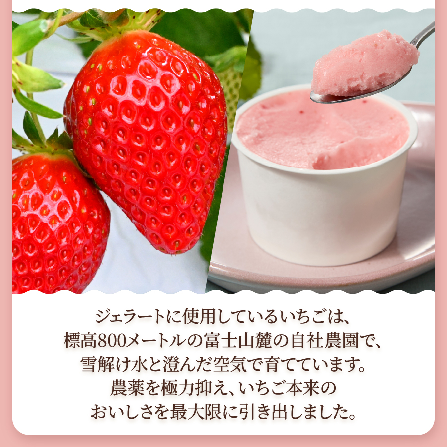 富士山まるごとジェラート　いちご特別セット