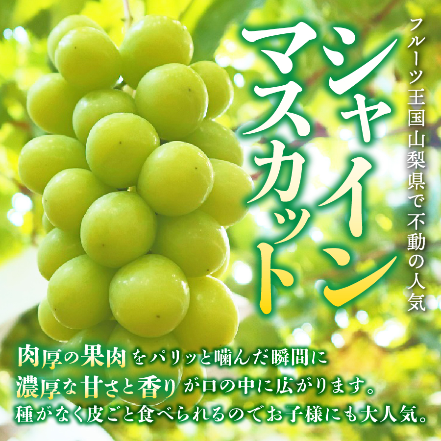 【2026年発送】ジューシーで甘さ抜群 シャインマスカットと黒ぶどうセット(1kg以上)