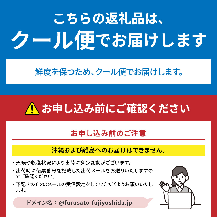 縲2026蟷エ逋コ騾 蜈郁。御コ育エ縲大アア譴ィ逵檎肇繧キ繝」繧、繝ウ繝槭せ繧ォ繝繝3kg