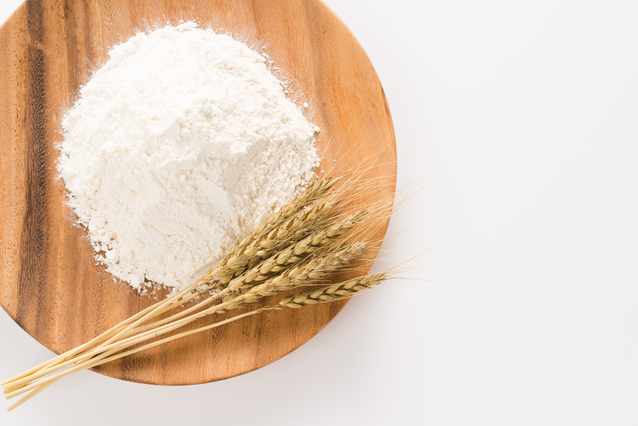 吉田の手もみうどん 12食セット 