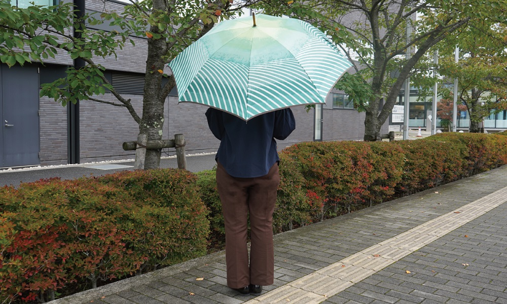 éšé·åãå¯å£«å±±ïŒç·ïŒ