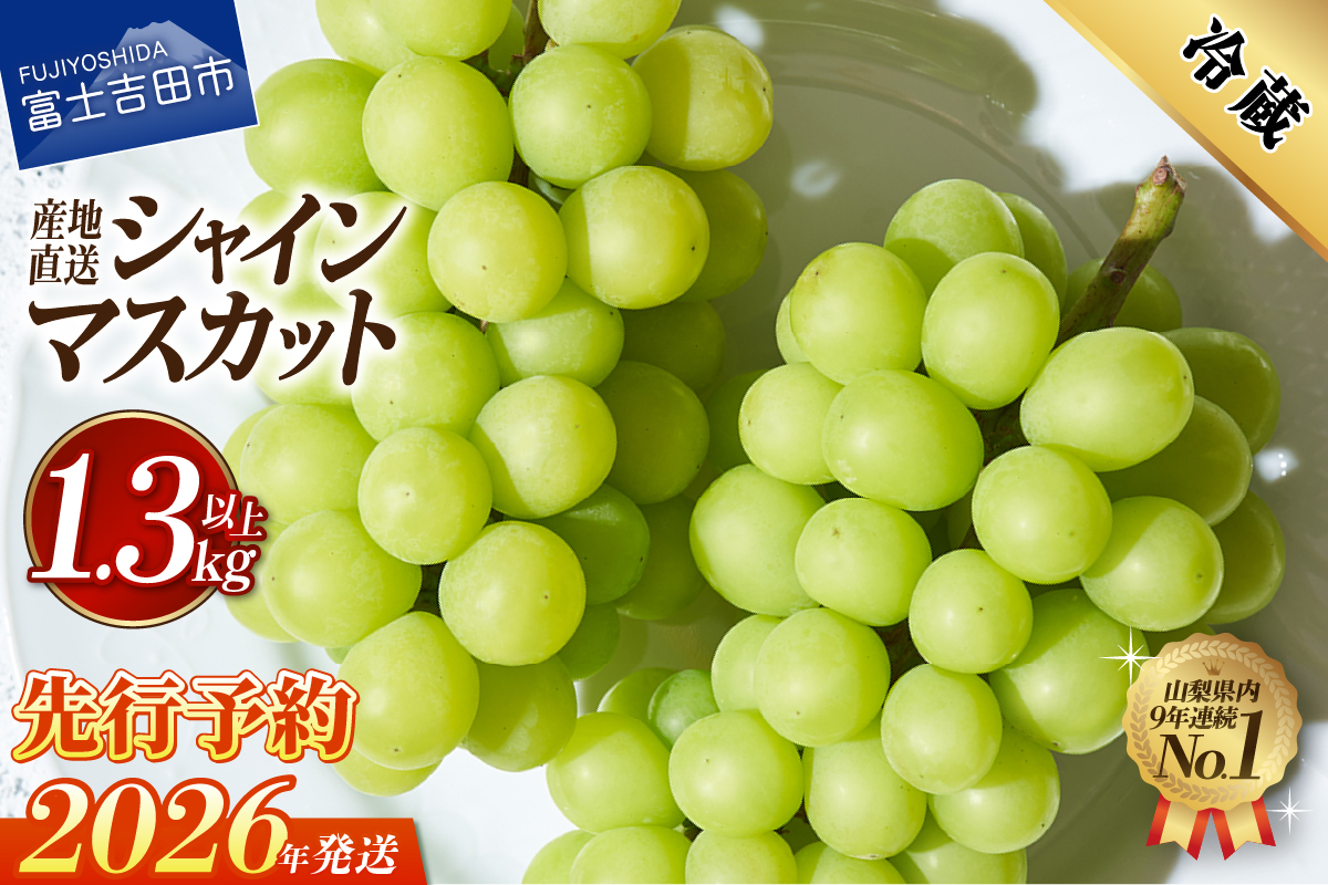 【2026年発送 先行予約】高級 山梨県産 シャインマスカット 2～3房 （1.3kg以上）