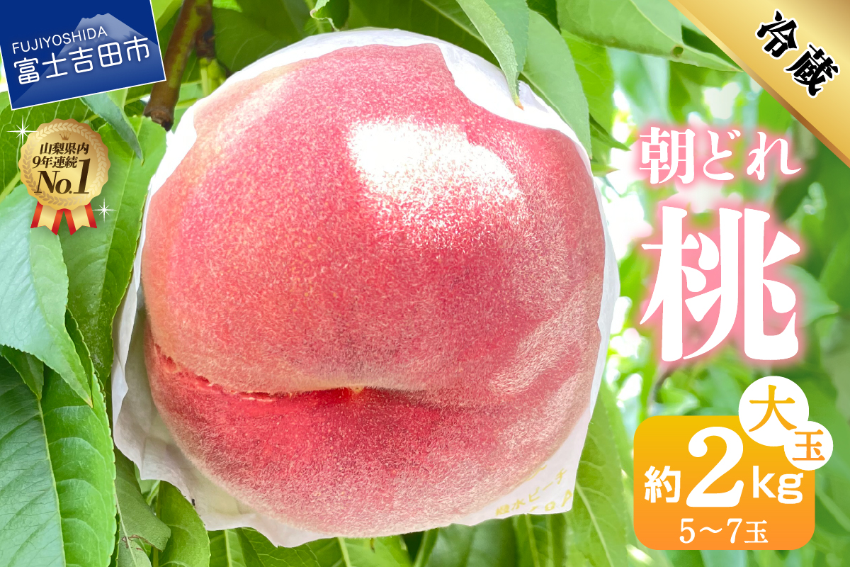 【2026年発送】山梨の朝どれ桃2kg　大玉5玉～7玉