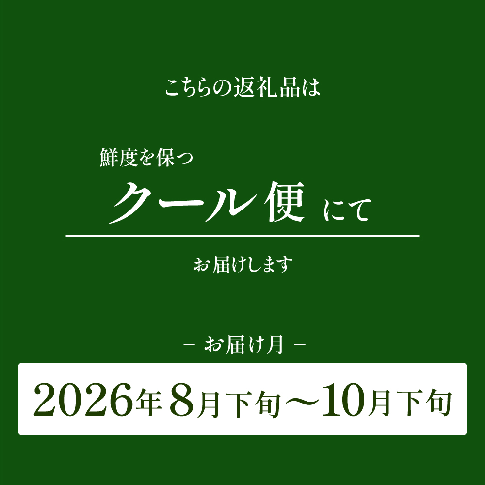 【2026年発送 先行予約】山梨県産シャインマスカット3kg