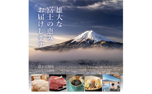 【12か月お届け】「サ水」サウナ後のととのいウォーター富士ミネラルウォーターデザインラベル定期便