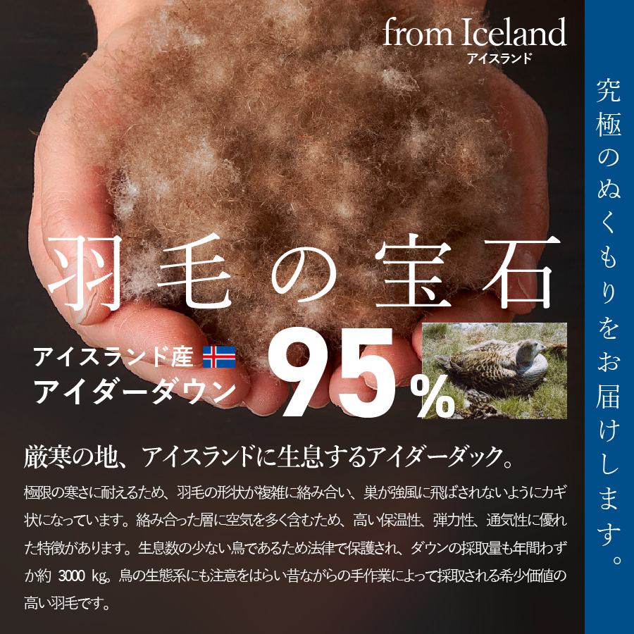 【甲州羽毛肌掛けふとん】銀の糸×アイダーダウン95％ (キング / アイボリー) お任せカバー付き