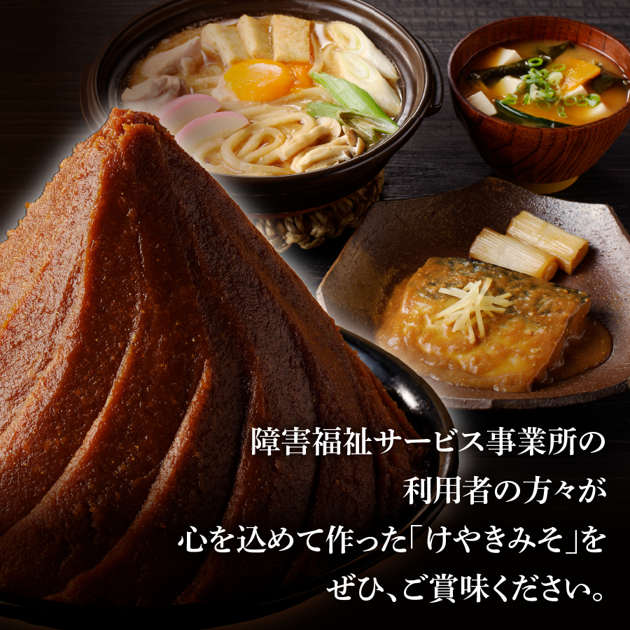 手作り　無添加　けやきみそ　1kg(500g×2個)