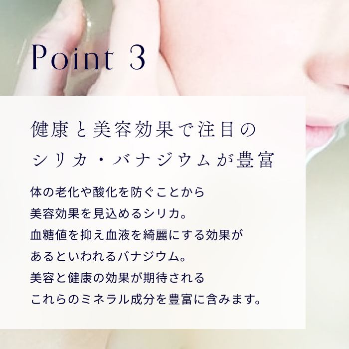 【12ヶ月お届け】富士山の源流水（9.5L×2本/ケース）