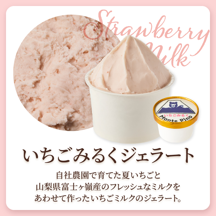 富士山まるごとジェラート　いちご特別セット