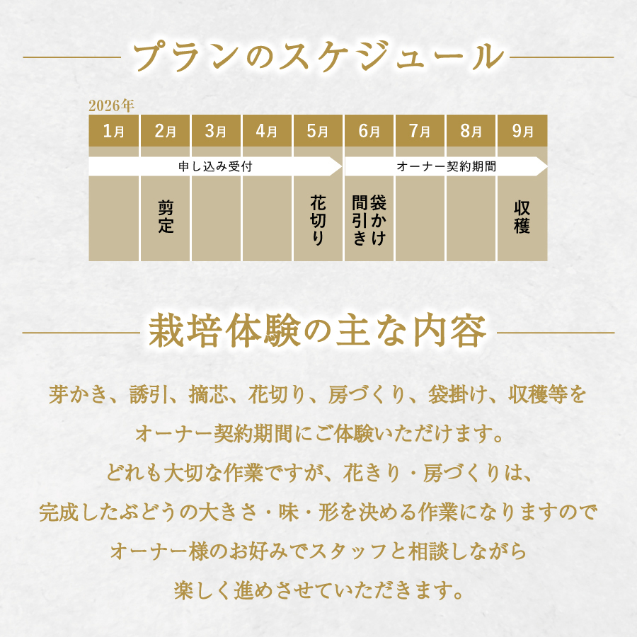 ãã¶ã©ãã®æš¹ ãªãŒããŒå¶åºŠãã·ã£ã€ã³ãã¹ã«ãã ïŒã·ãŒãºã³ãªãŒããŒãã©ã³(2022幎æ€ä»ã) 5æ¿ä¿èšŒä»ã