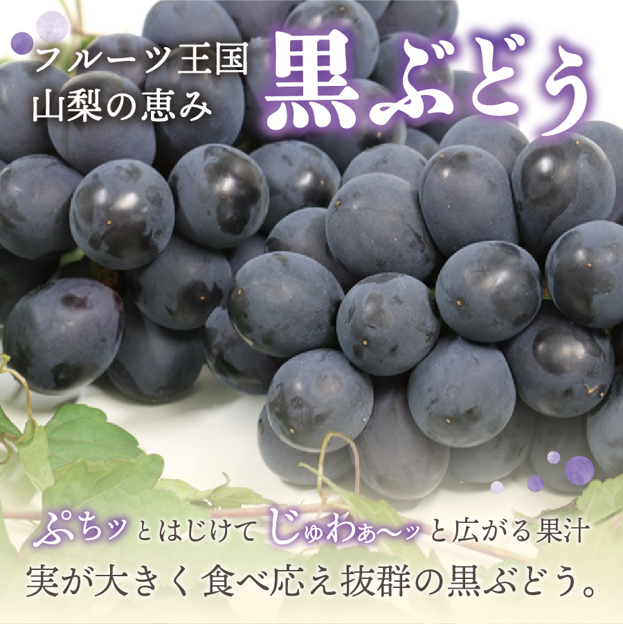 ã2026幎çºé å
è¡äºçŽãã2åå®æäŸ¿ãå³éž æ¬ã®ãã«ãŒãå®æäŸ¿ïŒæ¡2kgã»é»ã¶ã©ã1kg以äžïŒ