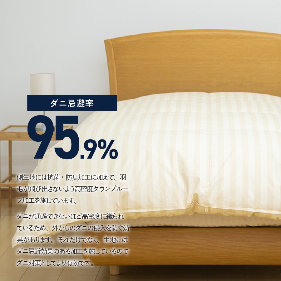 ãããå¿é¿ç95.9%ãæ¬æãäºå±€åŒãã«ãã®çŸœæ¯åžå£ãã©ã€ãããŒãžã¥ïŒã·ã³ã°ã«ïŒ