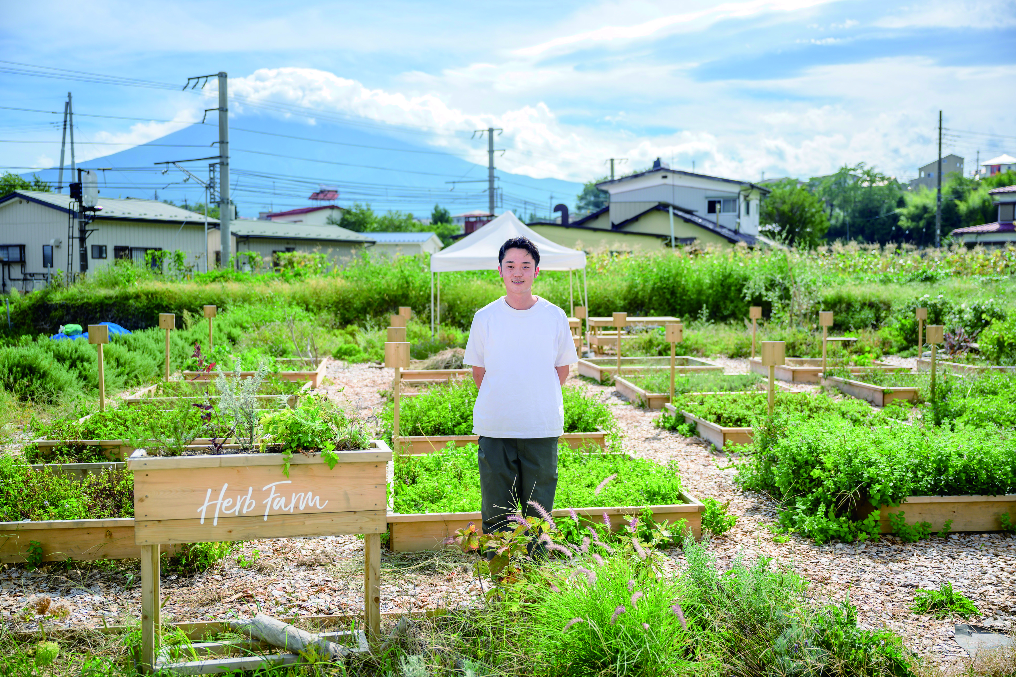【メール便発送】ハーブティーお試しセット（ミント＆レモン）ティーバッグ5個