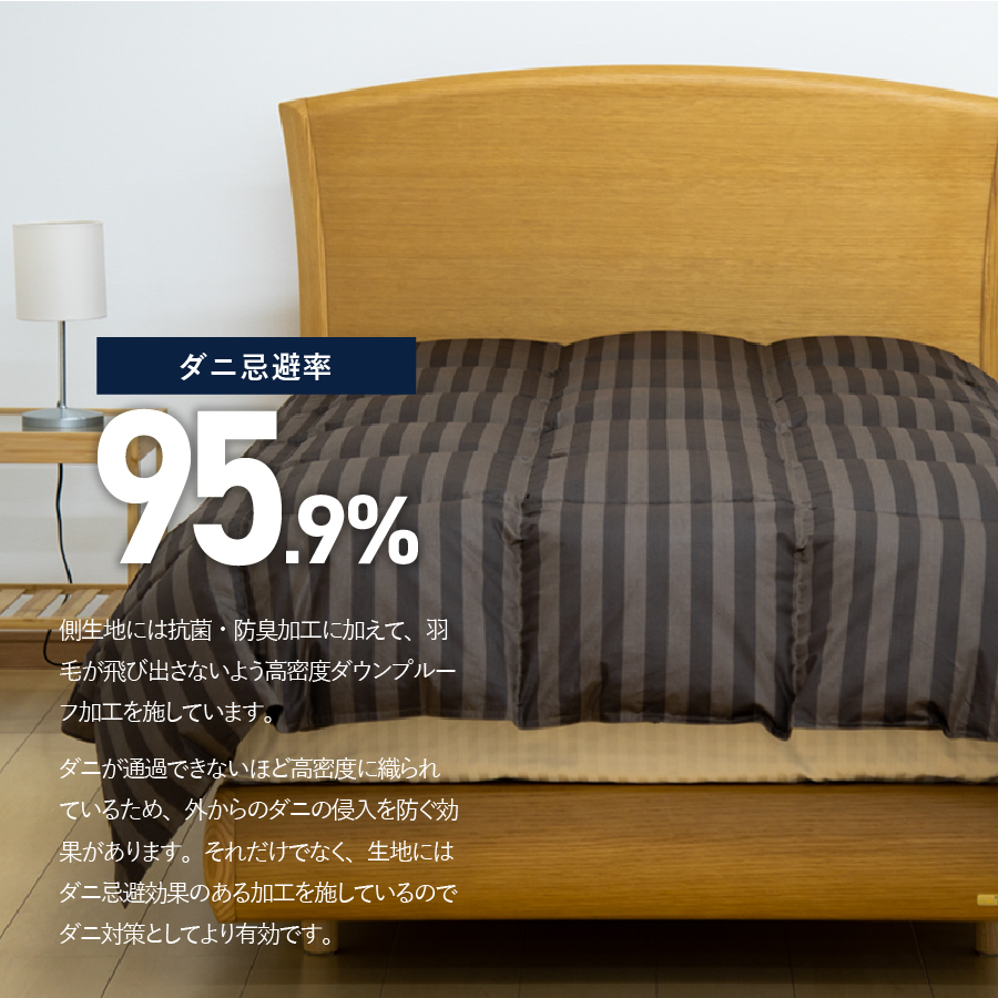 ãããå¿é¿ç95.9%ãããã£ãšèæã¿ã€ãã®çŸœæ¯åžå£ããã£ãŒããã©ãŠã³ïŒããã«ïŒ