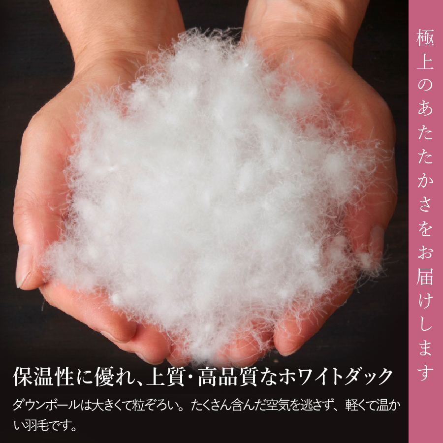 【甲州羽毛肌掛けふとん】手洗いできるウクライナホワイトダウン90% ホワイト（クイーン) ふとんカバー付