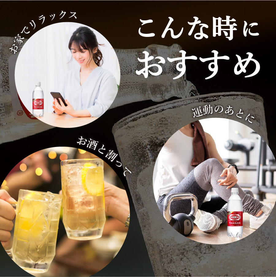 【３ヶ月お届け！】炭酸水 ウィルキンソン　タンサン（24本入）定期便