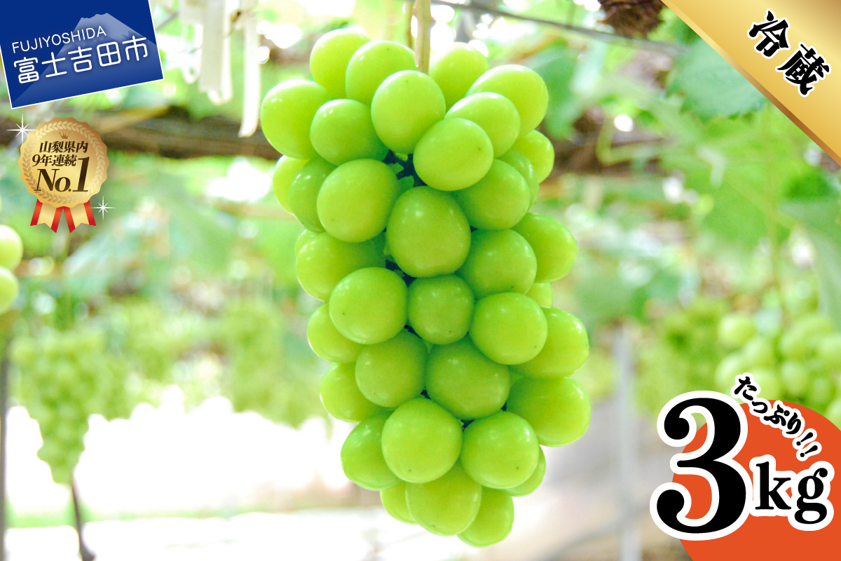 【2026年発送】山梨県産シャインマスカット3kg