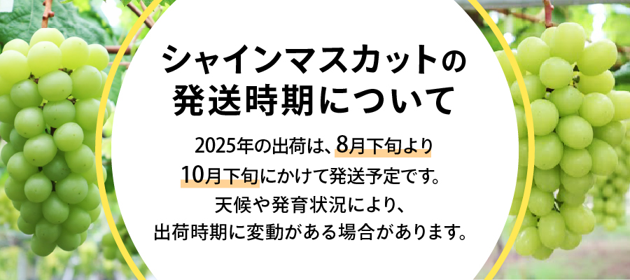 【2025年発送】山梨県産 シャインマスカット700g（1房以上）