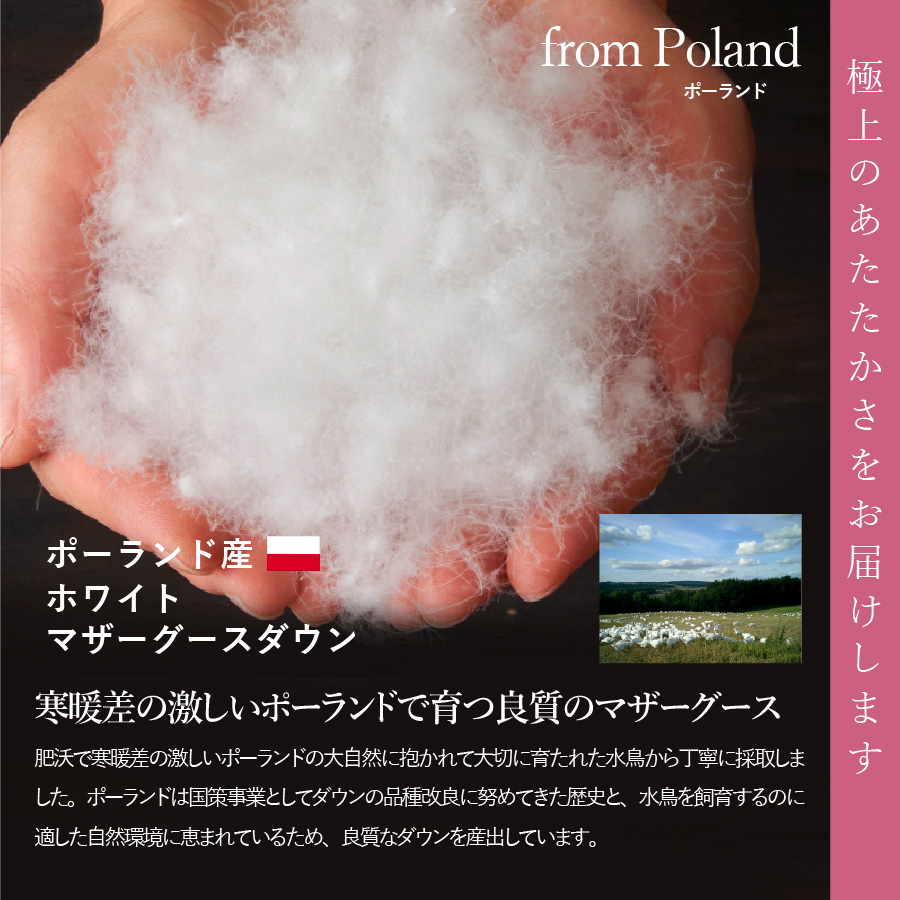 【甲州羽毛本掛けふとん】銀の糸×アイダーダウン95%二層本掛け (クイーン / アイボリー) お任せカバー付き