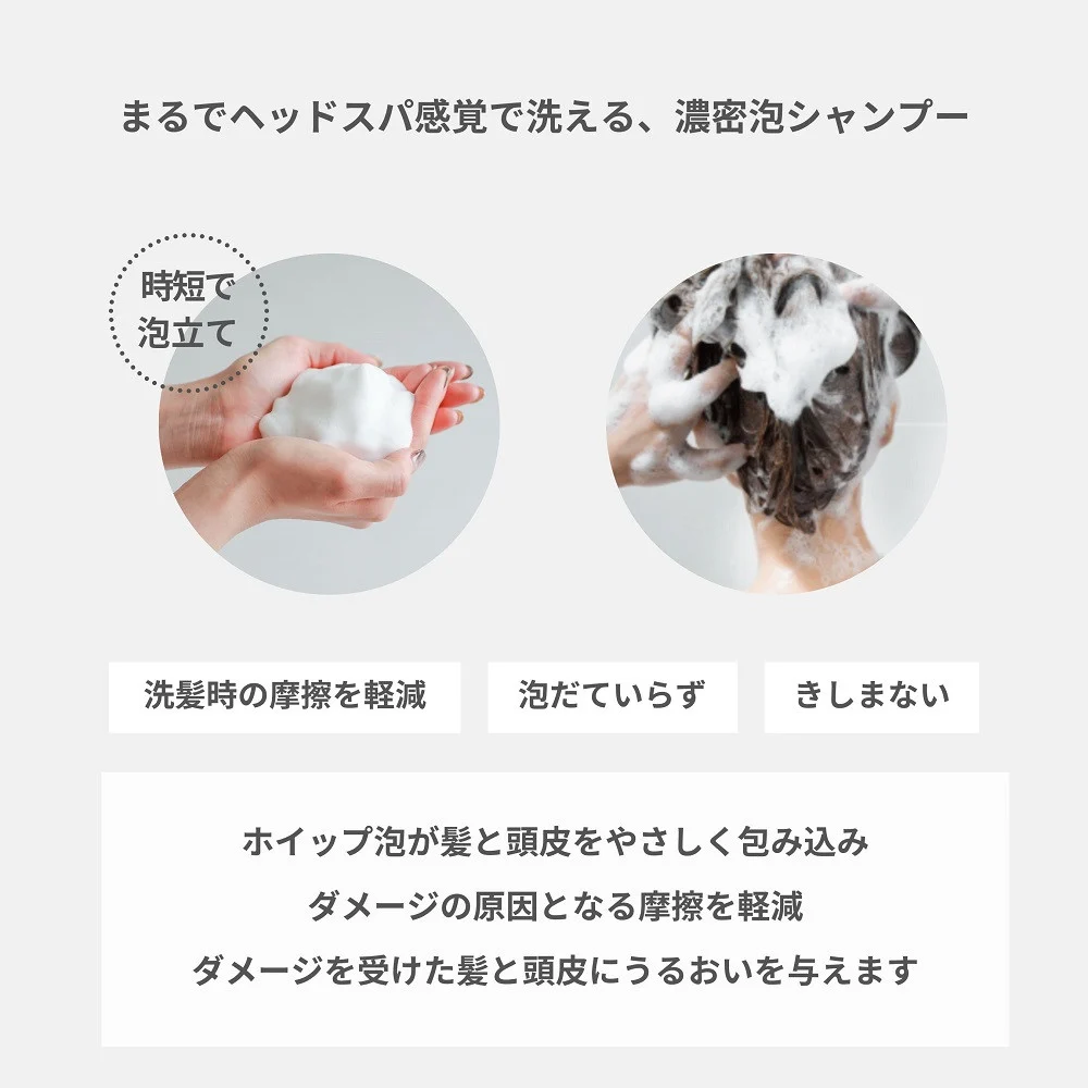 「ベストシャンプー10傑」に選ばれたプレミアムヘアケアセット(銀のシャンプー &白金トリートメント)