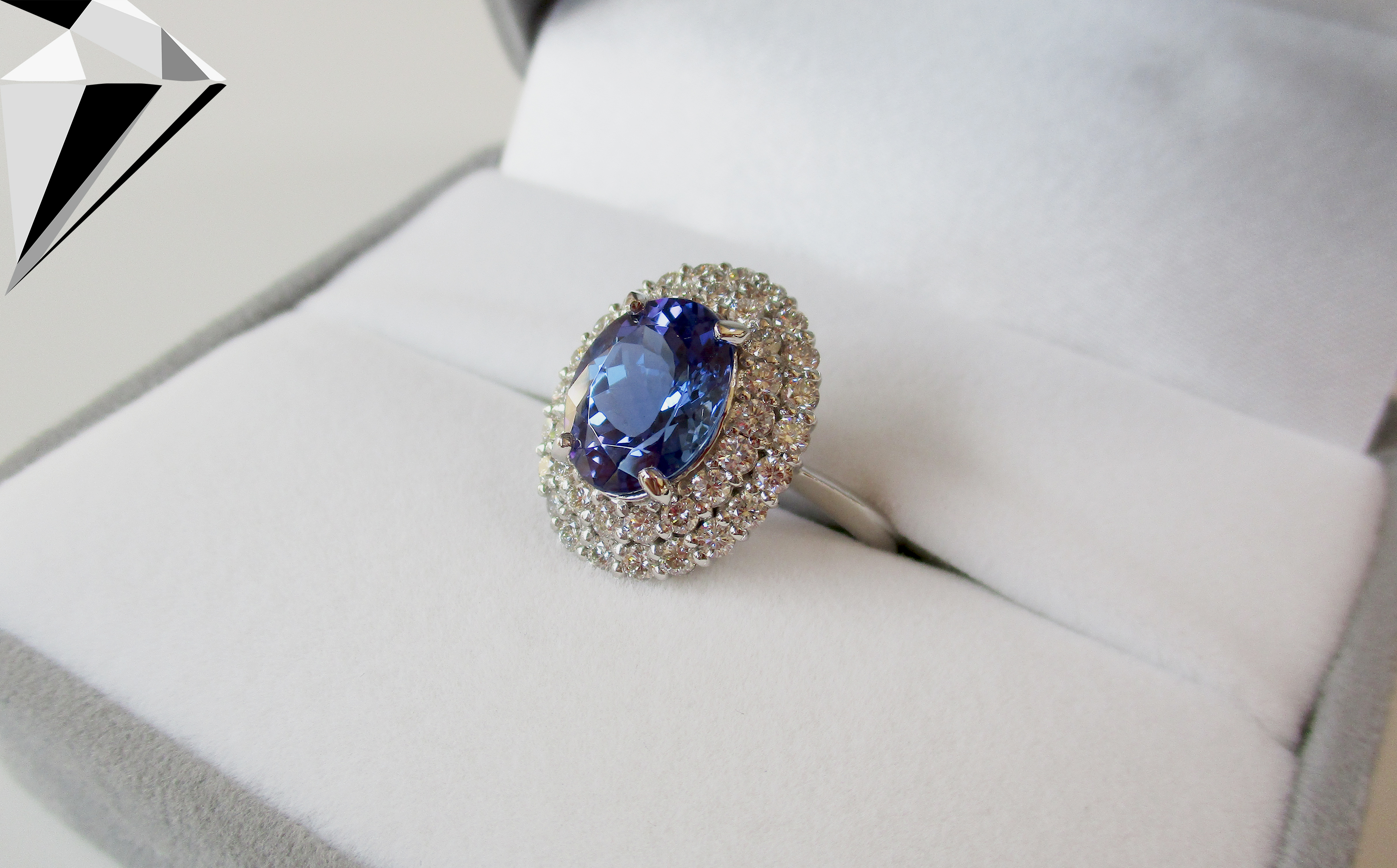 繝励Λ繝√リ繧ソ繝ウ繧カ繝翫う繝医Μ繝ウ繧ー KT926