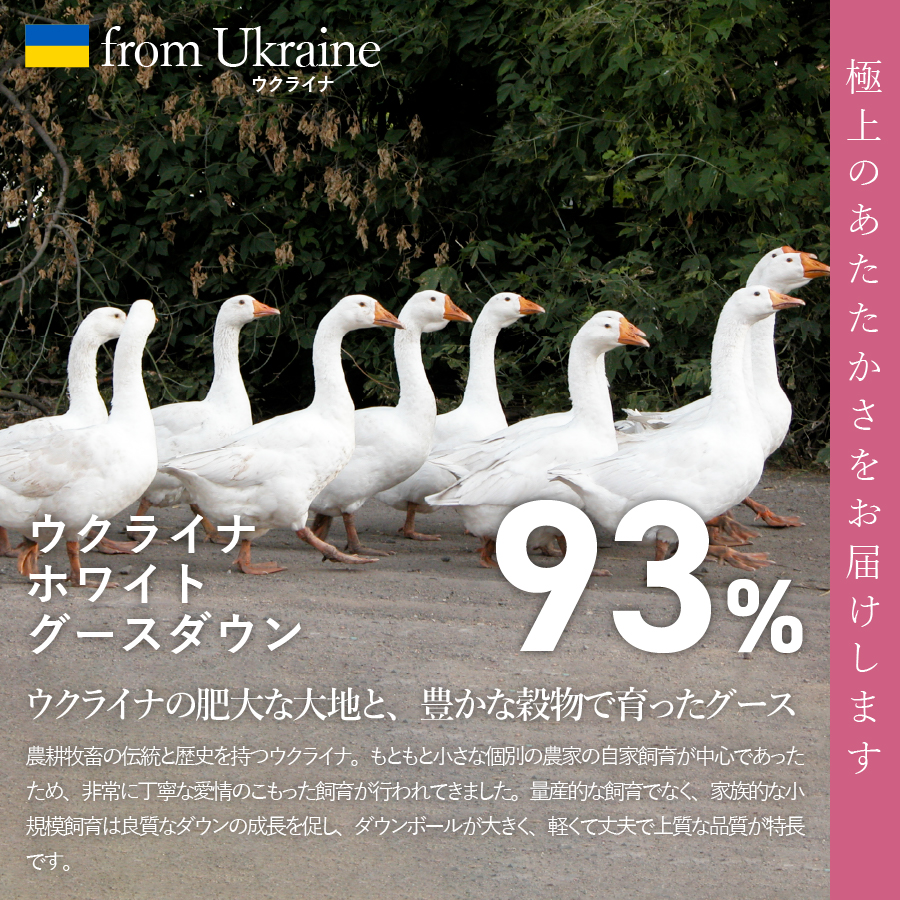 【甲州羽毛合掛けふとん】ウクライナホワイトグース93%超長綿 ホワイト（クイーン) ふとんカバー付