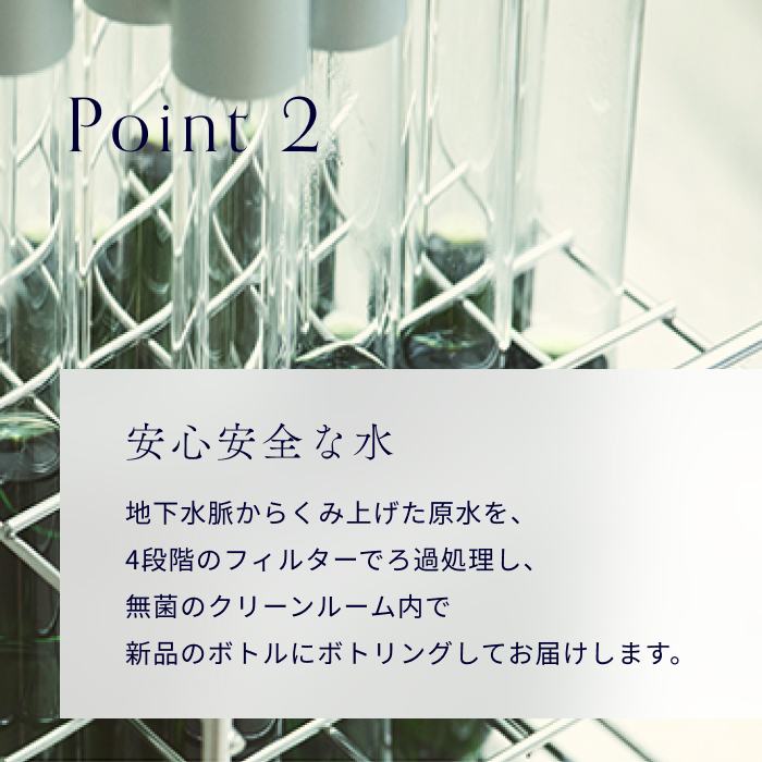 【12ヶ月お届け】富士山の源流水（9.5L×2本/ケース）