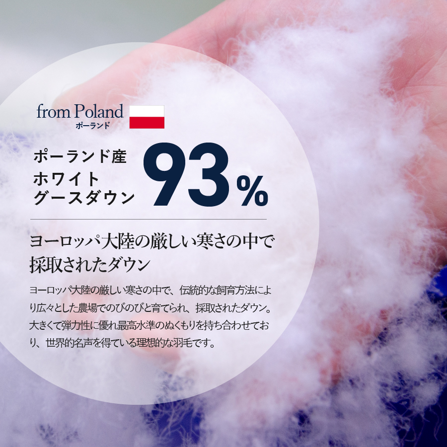 本掛けの羽毛布団ダブル雲雀色　ポーランド産400dpグース【ダニ忌避率98.8％】