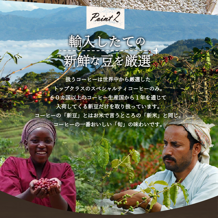 メール便発送【訳ありコーヒー定期便】富士山の湧き水で磨いた スペシャルティコーヒーセット 12ヶ月コース (豆400g)