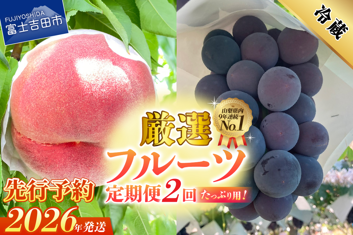 【2026年発送 先行予約】【2回定期便】厳選 旬のフルーツ定期便（桃2kg・黒ぶどう1kg以上）