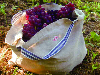 【手作業限定生産】 アルディン製奥様セット(ふきん、エプロン、バッグセット)