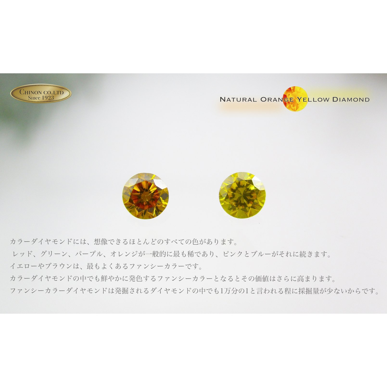 繧ェ繝ャ繝ウ繧ク繝繧、繝、繝「繝ウ繝 繝励Λ繝√リ繝ェ繝ウ繧ー KT1102