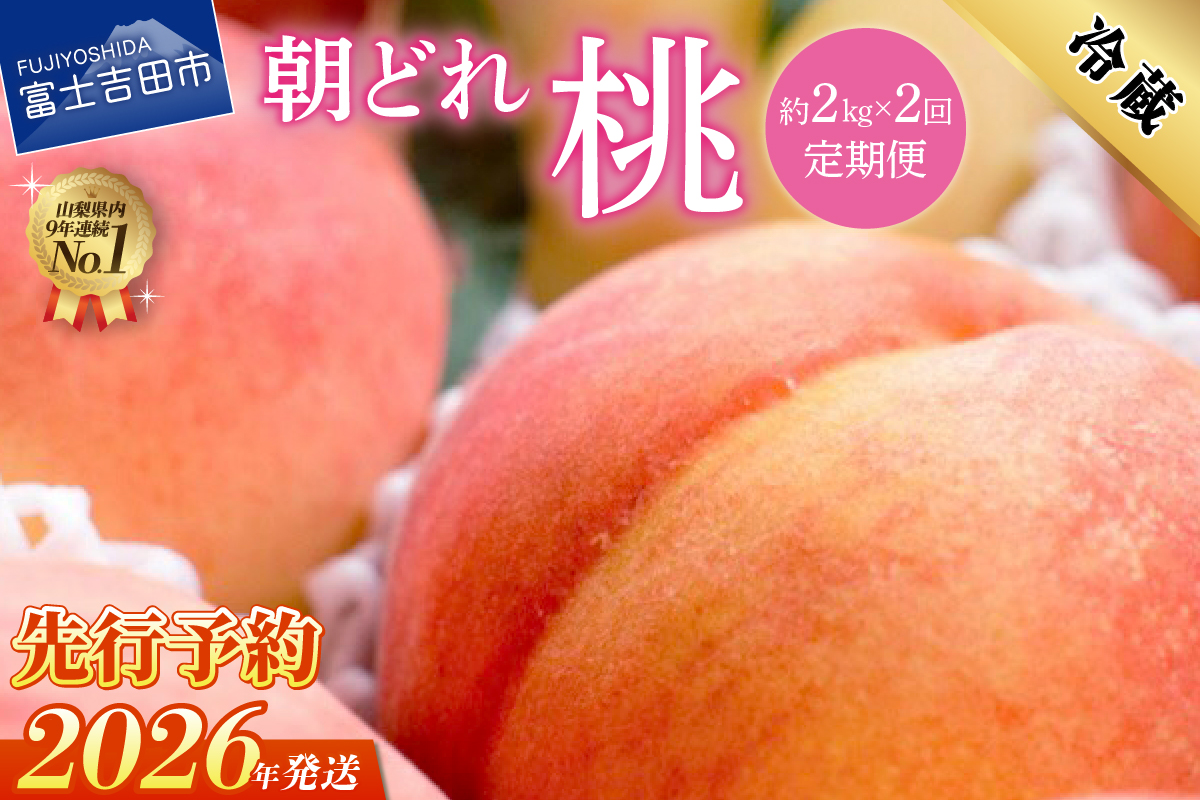 【2026年発送 先行予約】【2回定期便】山梨朝どれ桃2kg×2回配送（白鳳系・白桃系）