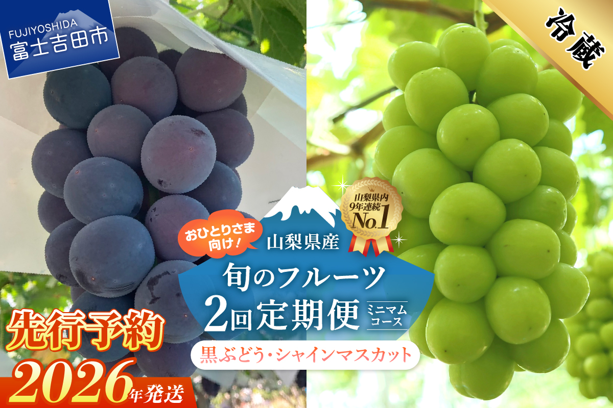 【2026年発送 先行予約】【ミニマム 2回定期便】厳選 旬のフルーツ定期便（黒ぶどう1房・シャインマスカット1房）