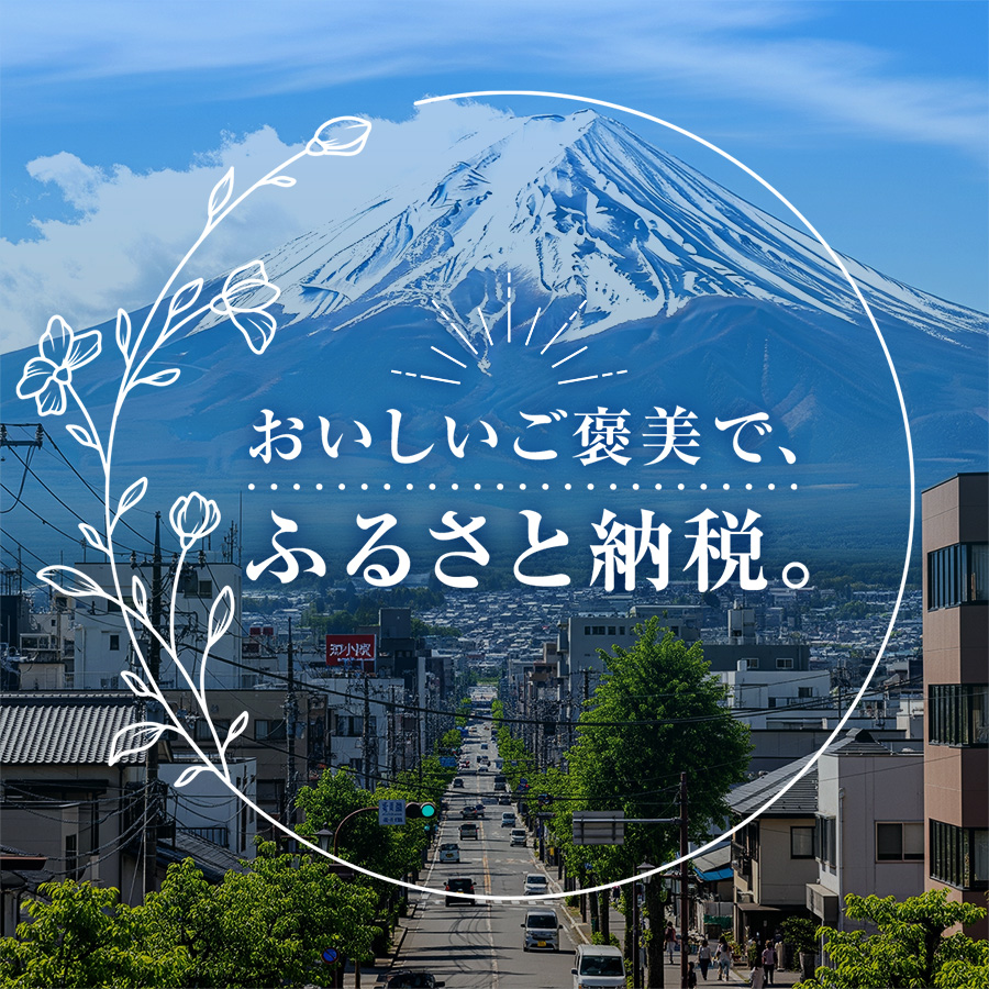 FUJIMI プロテイン コーンクリーム 10袋 健康サポート系