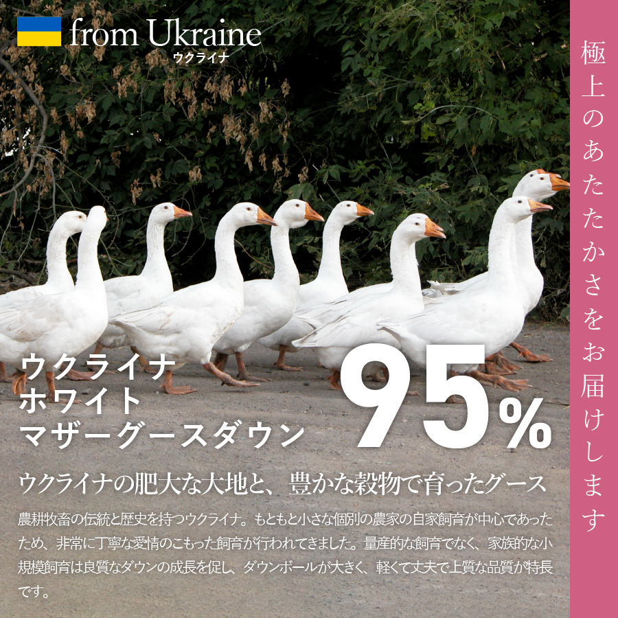 【甲州羽毛合掛けふとん】ウクライナホワイトマザーグース95%抗菌の糸 ホワイト（セミダブル) ふとんカバー付