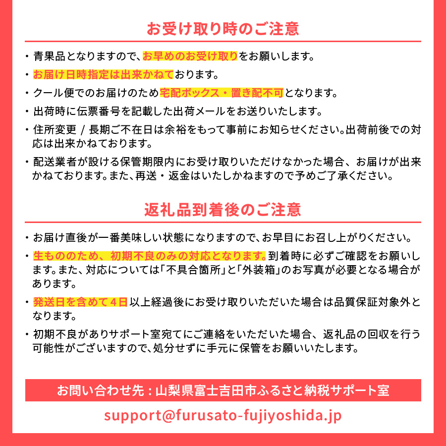 【2026年発送 先行予約】【2回定期便】山梨朝どれ桃2kg×2回配送（白鳳系・白桃系）