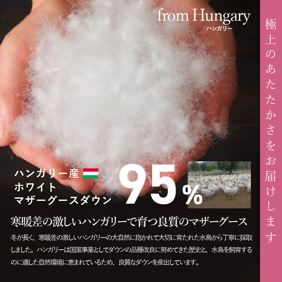 【甲州羽毛本掛けふとん】ハンガリープレミアムマザーグース95%シルク混 ピンク (ダブル) 羽毛布団