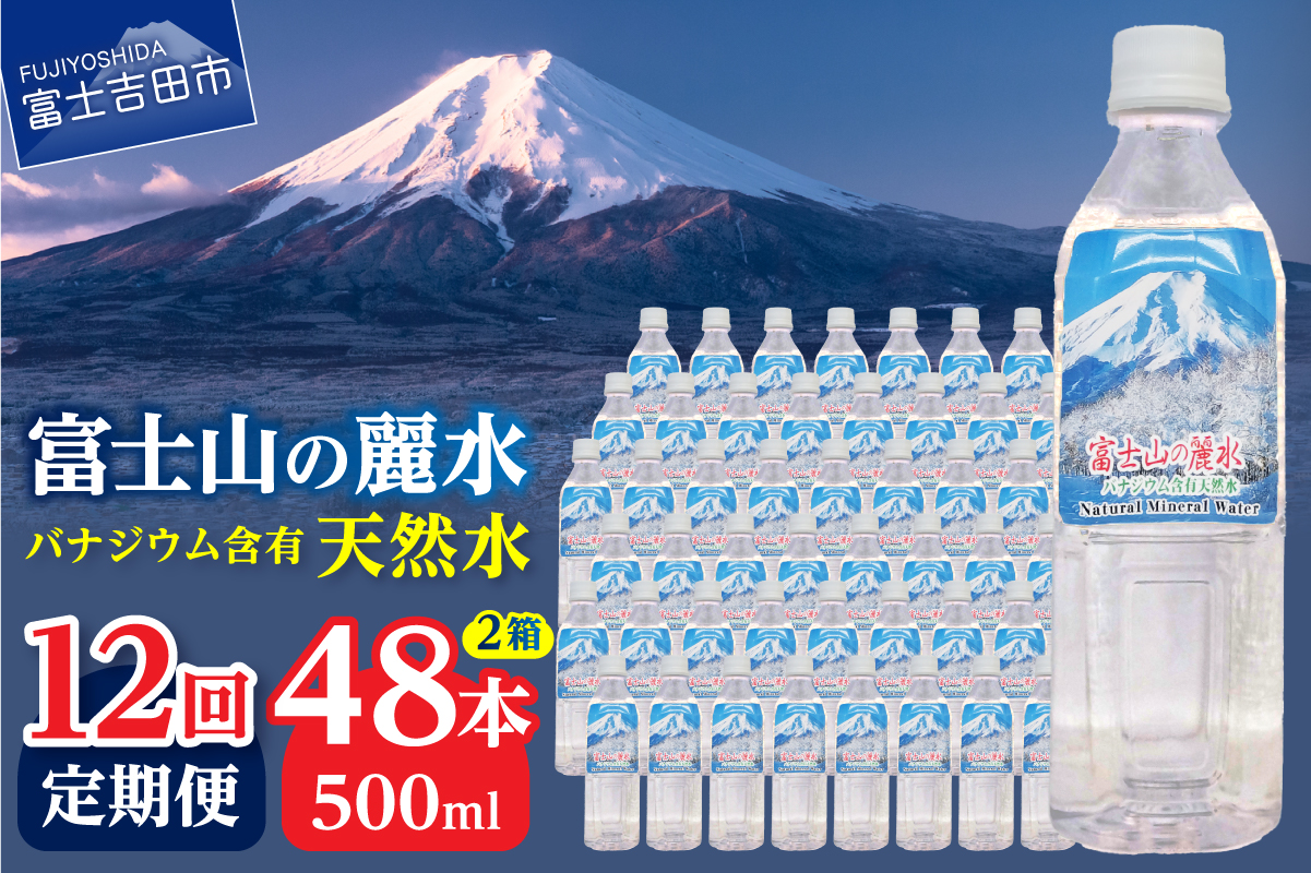 【12か月お届け】富士山の麗水 500ml 48本