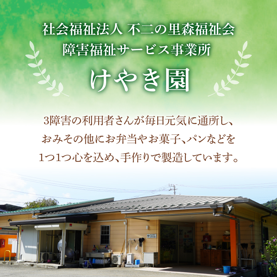 手作り　無添加　けやきみそ　1kg(500g×2個)