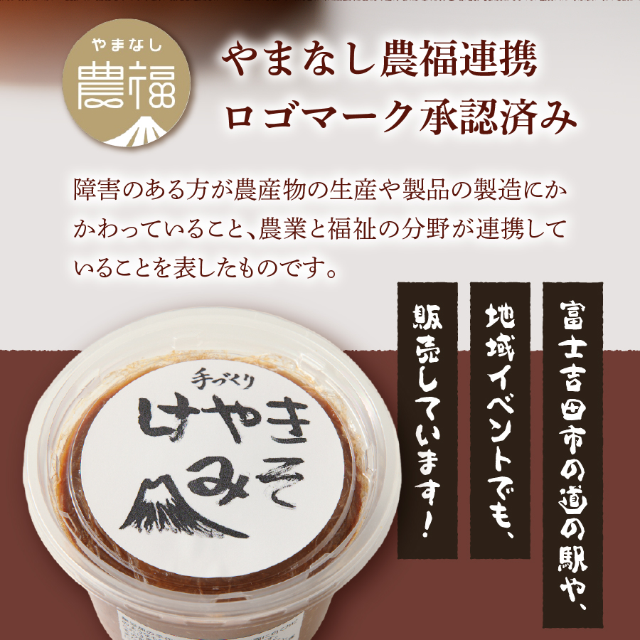 手作り　無添加　けやきみそ　1kg(500g×2個)