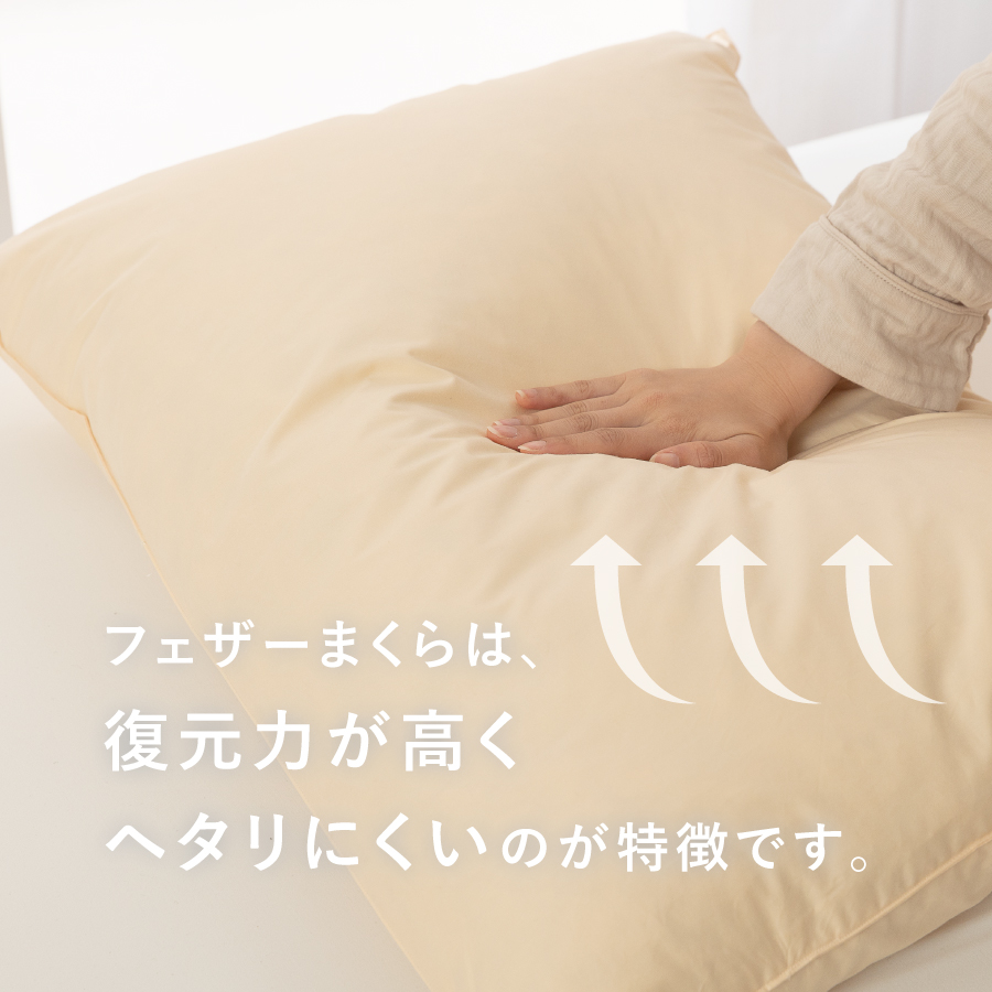 ãç²å·çŸœæ¯ãµãšãããã§ã¶ãŒãŸããäžå€ïŒ43Ã63cmïŒ