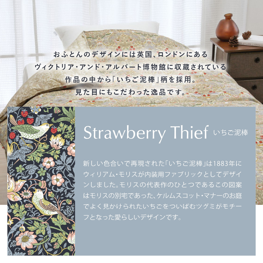 【老舗寝具メーカーロマンス小杉監修】羽毛と絹（シルク）を合わせた究極の掛けふとん シングルサイズ (ブルー)