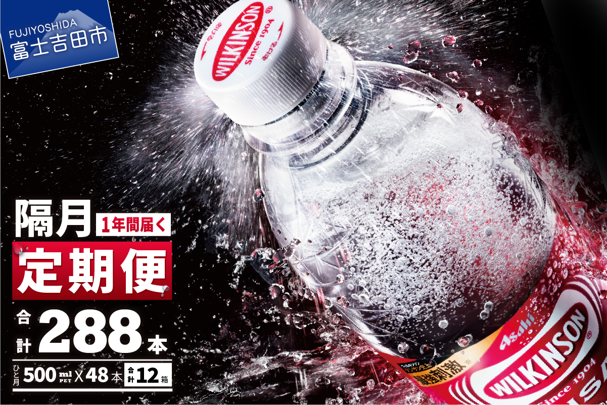 【年6回・隔月お届け！】炭酸水 ウィルキンソン　タンサン　PET500ml×2箱（48本入）定期便
