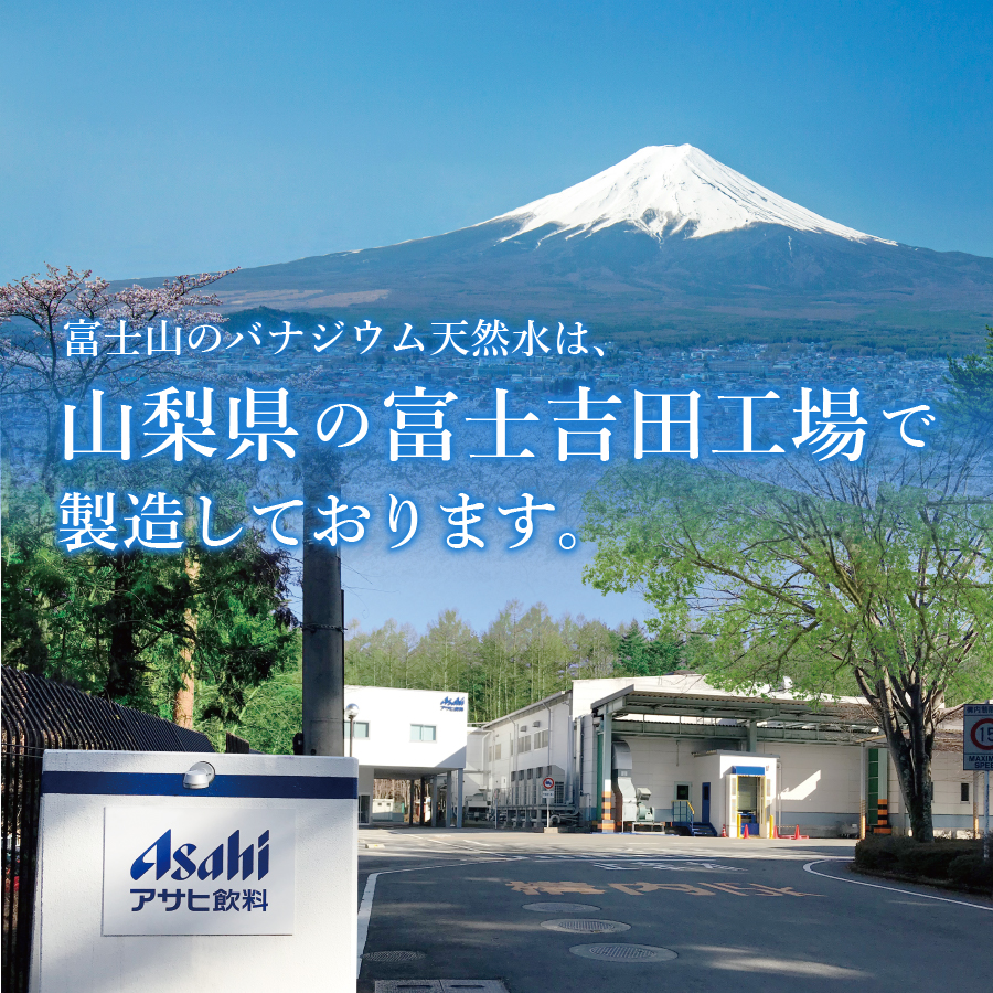 【12か月お届け】「アサヒおいしい水」富士山のバナジウム天然水 1箱(24本入)PET600ml