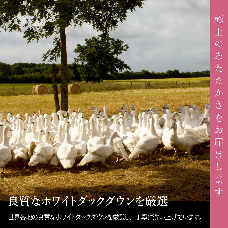 【甲州羽毛ふとん】洗える羽毛合い掛けふとん（ダブル） 羽毛布団