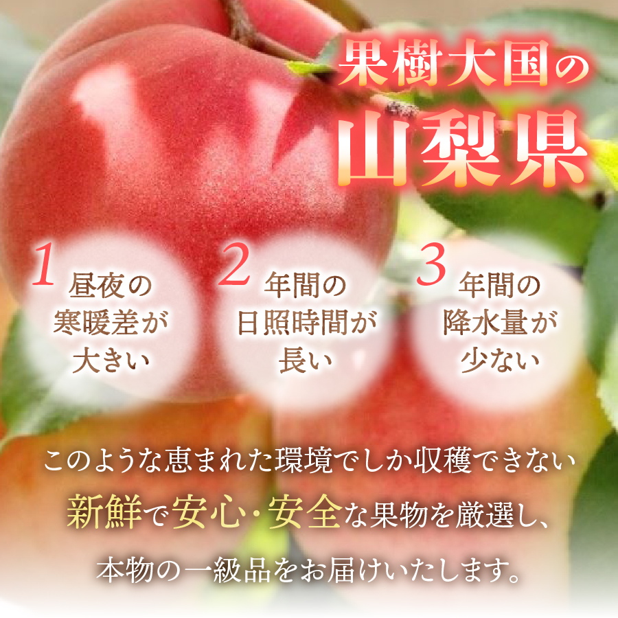 ã2026幎çºéãå±±æ¢šã®æã©ãæ¡2kgã倧ç5çïœ7ç