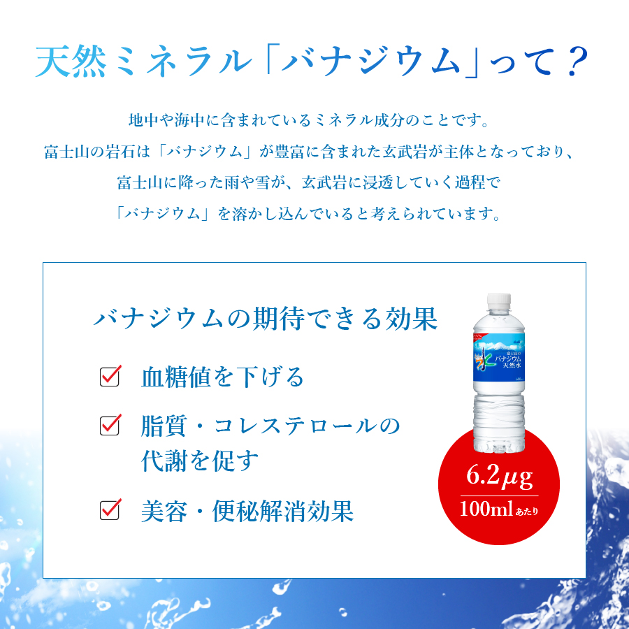 縲2縺区怦縺雁ア翫¢縲代後い繧オ繝偵♀縺縺励>豌エ縲榊ッ悟」ォ螻ア縺ョ繝舌リ繧ク繧ヲ繝螟ゥ辟カ豌エ 1邂ア(24譛ャ蜈・シ臼ET600ml